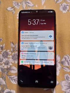 VIVO