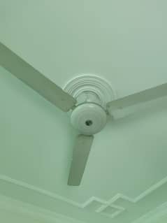Wahid cellling fan