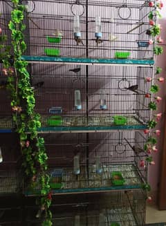 Setup for sale