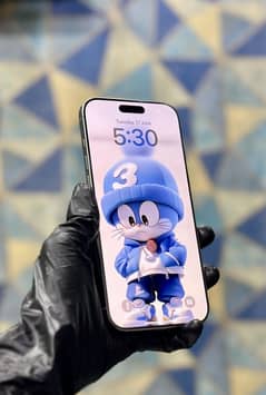 Apple iPhone 16 pro max