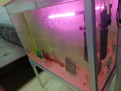Aquarium