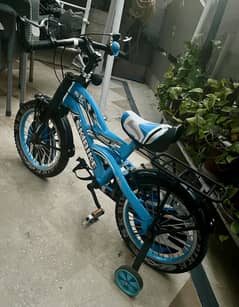 Bicycle