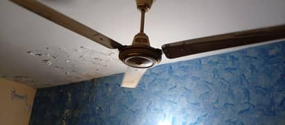 5 پنکھے چھت کے سیل ہے