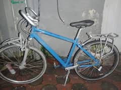 Giant