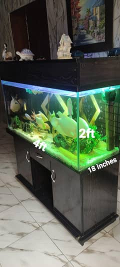 fish aquarium Premium Look