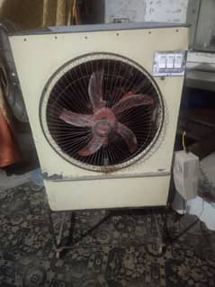 12 voult coller for sale with stand