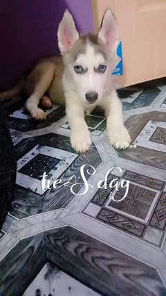 blue eyes