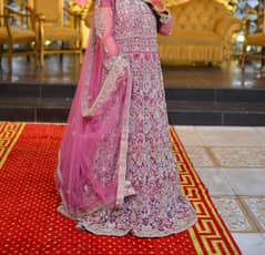 walima maxi
