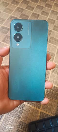 vivo