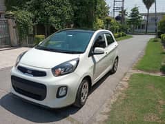 Kia picanto