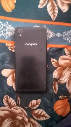 opoo