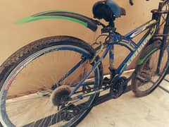 super bianchi sport bicycle