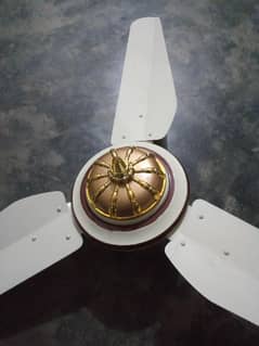 ceiling