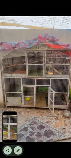 birds cage