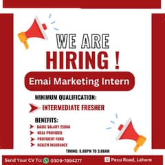 Office Based Job (For  Intermediate Students)