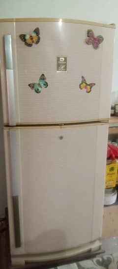 I'm selling my refrigerator