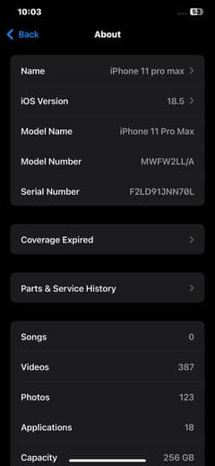 iPhone