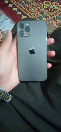 iPhone 12 Pro Max