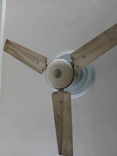 Fan for sale with copper winding