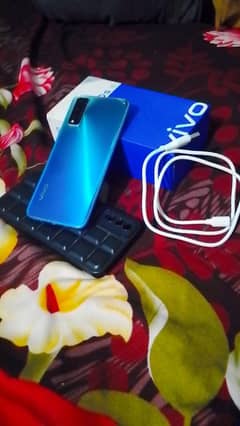 Vivo