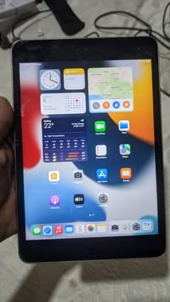 ipad minni 4