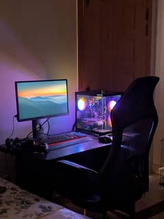 Dell Monitor P2217h