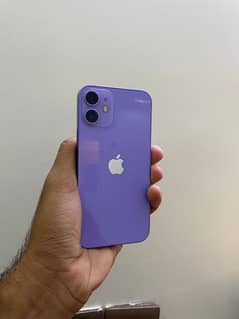 iPhone 12 mini