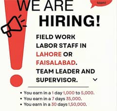 Wall Stamp Job Daily Salary.