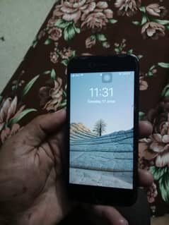 APPLE  7