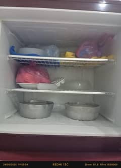 Pel glass door fridge for sale