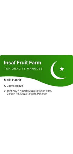 we supply top Quality Mangoes in all over Pakistan
