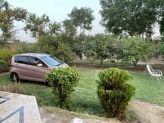 car sale