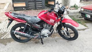 Yamaha Ybr 125G 2023 Scretchless