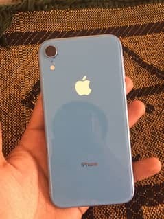 iPhone XR 64 GB Pta Approved
