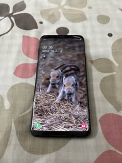 S9plus pta approved