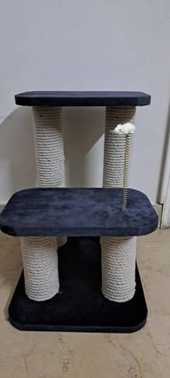 cat scrathing post