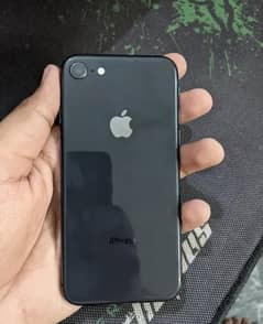 Iphone 8 64Gb (jv)