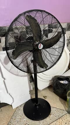Royal pedestal Fan
