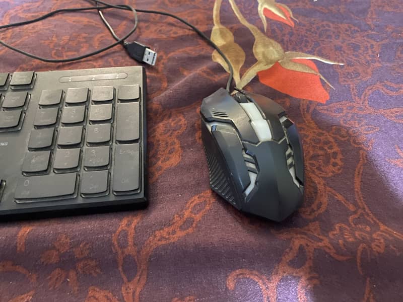 Lightning keyboard and lightning mouse for sale 4