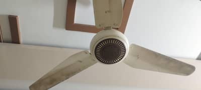 ORIENT AC DC CEILING FAN