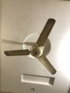 Celling Fan for sale