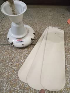 BEETA CEILING FAN