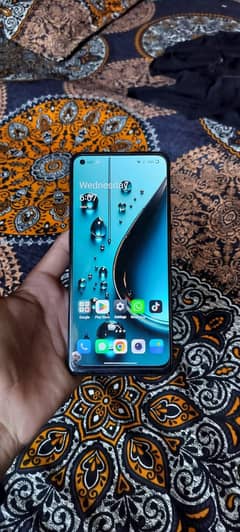 OnePlus Nord n20 5g 03703637081