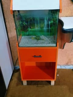 A Aquarium for your Fishes with two sided wallpaper