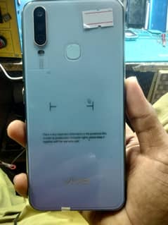 vivo