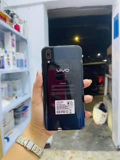 VIVO