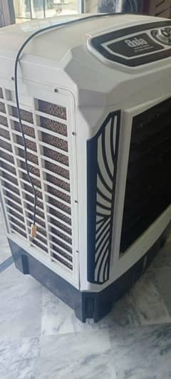 good collar urgent sale karna he