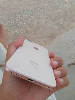 03243062005