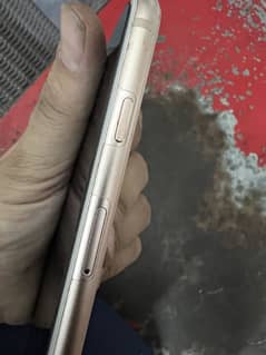 iPhone 8 Plus pta approve
