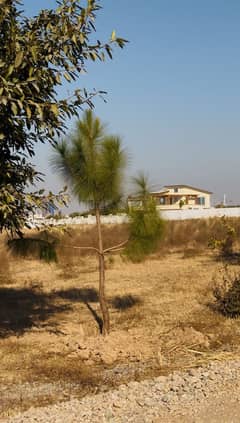 D Block Gulberg Greens Islamabad 4 Kanal Farmhouse Possession Main Road (Challenging Rate)